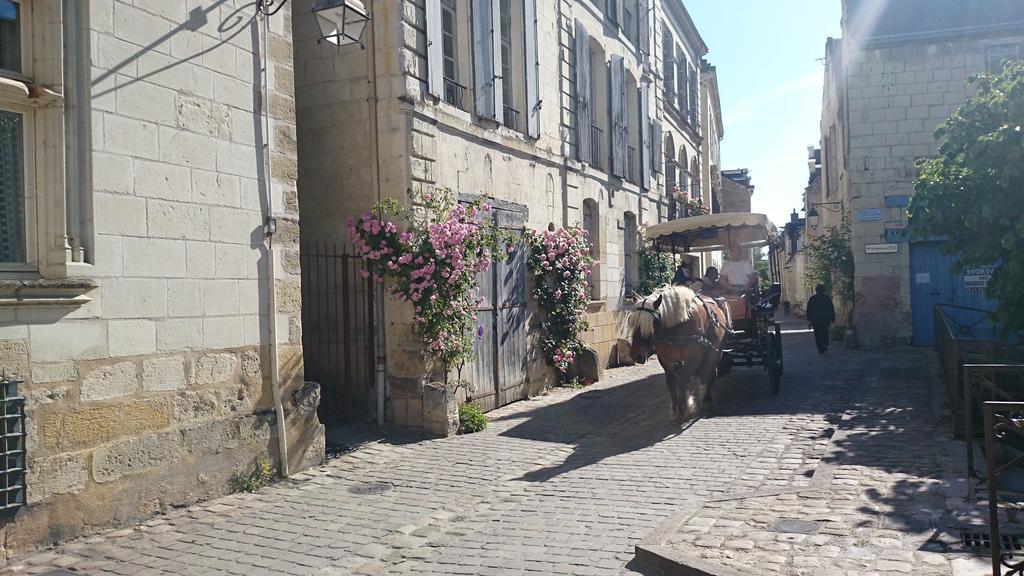 Nature & Chateaux Chinon Bilik gambar