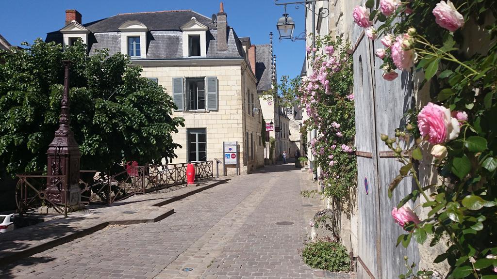 Nature & Chateaux Chinon Bilik gambar